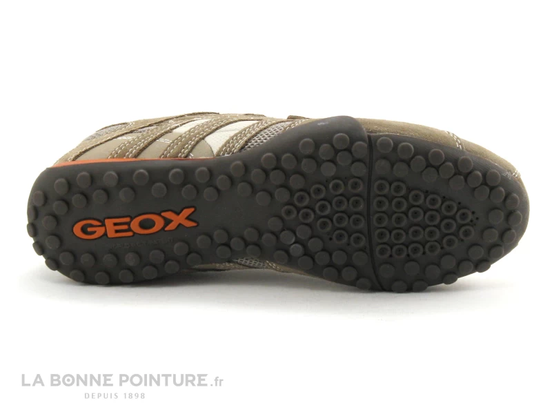 Geox U SNAKE L Beige Dk Orange 9 Geox U SNAKE L Beige Dk Orange – Image 7