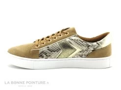 The Divine Factory QL4704 Taupe - Or Python - Sneakers Femme -Chaussure Soldes Boutique cd24607c73b9e66c561f35ea11d5d5ef img 3181.jpg 175451