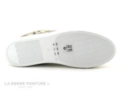 The Divine Factory QL4704 Taupe - Or Python - Sneakers Femme -Chaussure Soldes Boutique cd24607c73b9e66c561f35ea11d5d5ef img 3183.jpg 175453