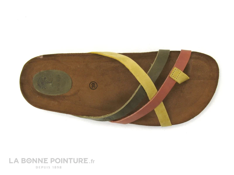 Inter Bios 7113 Teja Kaki Mostaza - Tong Femme Brides Croisees 7 Inter Bios 7113 Teja Kaki Mostaza - Tong Femme Brides Croisees – Image 5