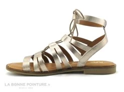 Kaola 795 Metal Platino - Sandale Montante Doree -Chaussure Soldes Boutique cd24607c73b9e66c561f35ea11d5d5ef img 8785.jpg 158581
