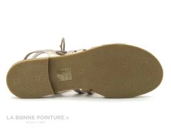 Kaola 795 Metal Platino - Sandale Montante Doree -Chaussure Soldes Boutique cd24607c73b9e66c561f35ea11d5d5ef img 8786.jpg 158582